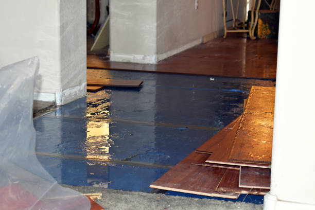 Professional Storm Water Damage Restoration technician working in Warrenton, OR